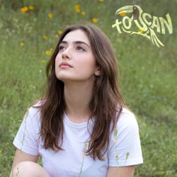 toucan cover